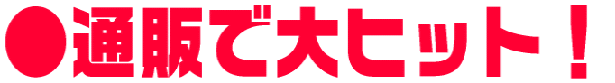 ���ʔ̂ő�q�b�g�I