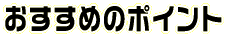 �������߂̃|�C���g 
