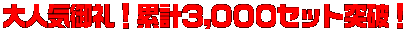 ��l�C���I�݌v�R,�O�O�O�Z�b�g�˔j�I